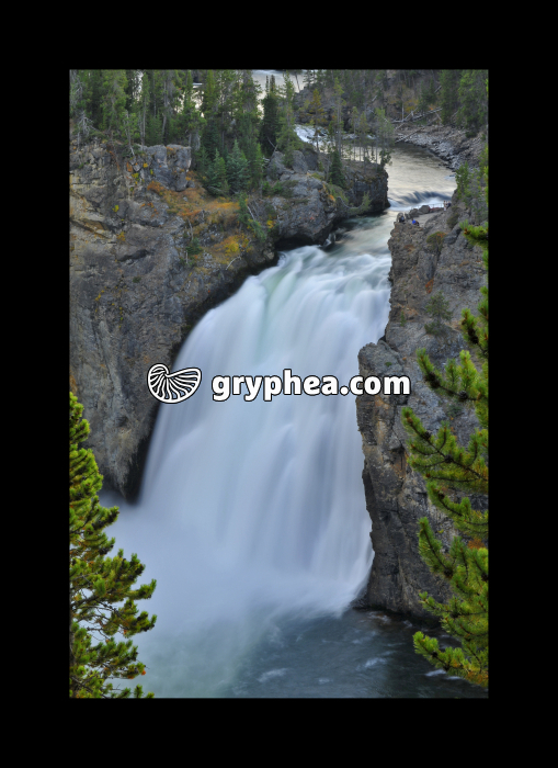 Yellowstone falls (Yellowstone NP, USA) - gryphea.com